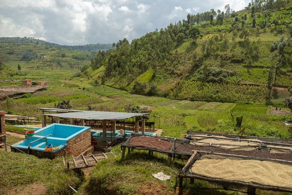 Quelles sont les idées pour une journée d'art et d'artisanat avec des matériaux recyclés ?