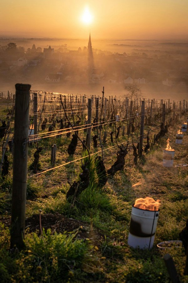 Quel est le meilleur vin de cahors en 2024 ?